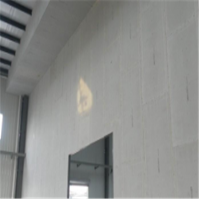 铅山宁波ALC板|EPS加气板隔墙与混凝土整浇联接的实验研讨